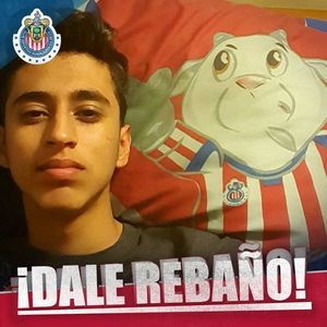 Meet your Posher, Cesar